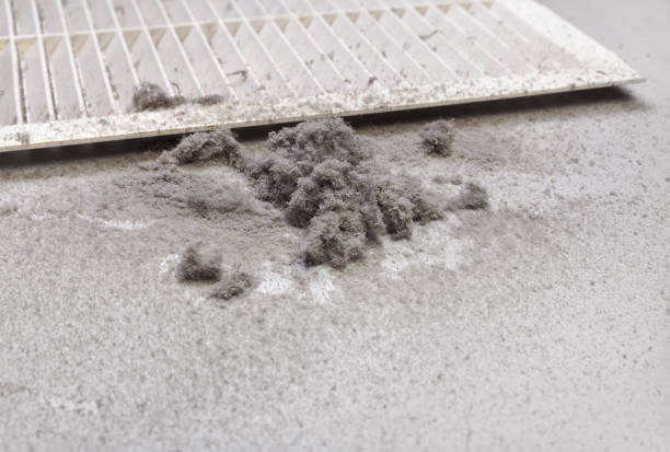 Best Affordable HVAC Duct Cleaning  in Indian Head Park, IL