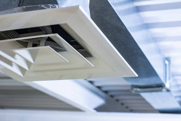 Best Air Duct Mold Removal  in Indian Head Park, IL