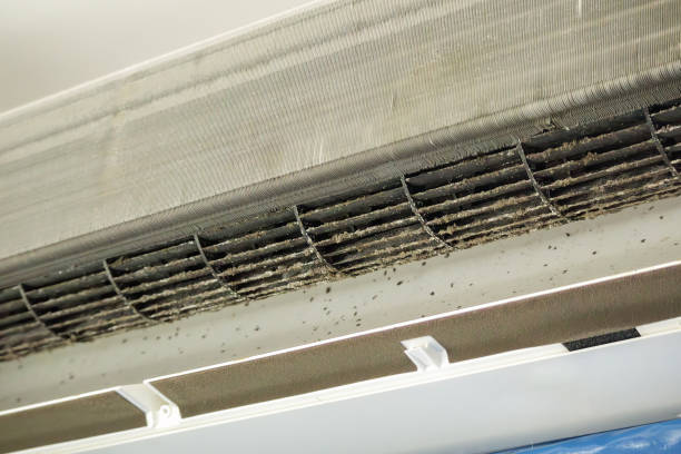 Best Air Duct Cleaning Near Me  in Indian Head Park, IL